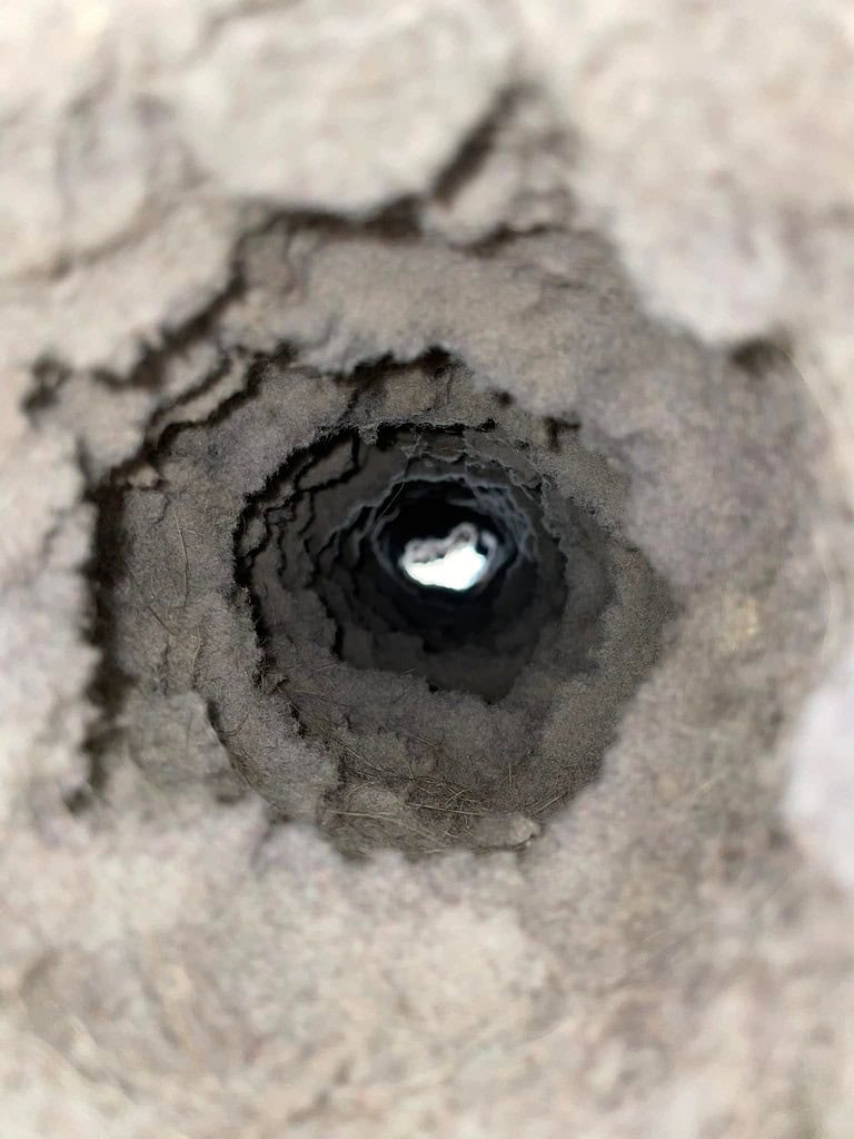 Lansing Dryer vent cleaning